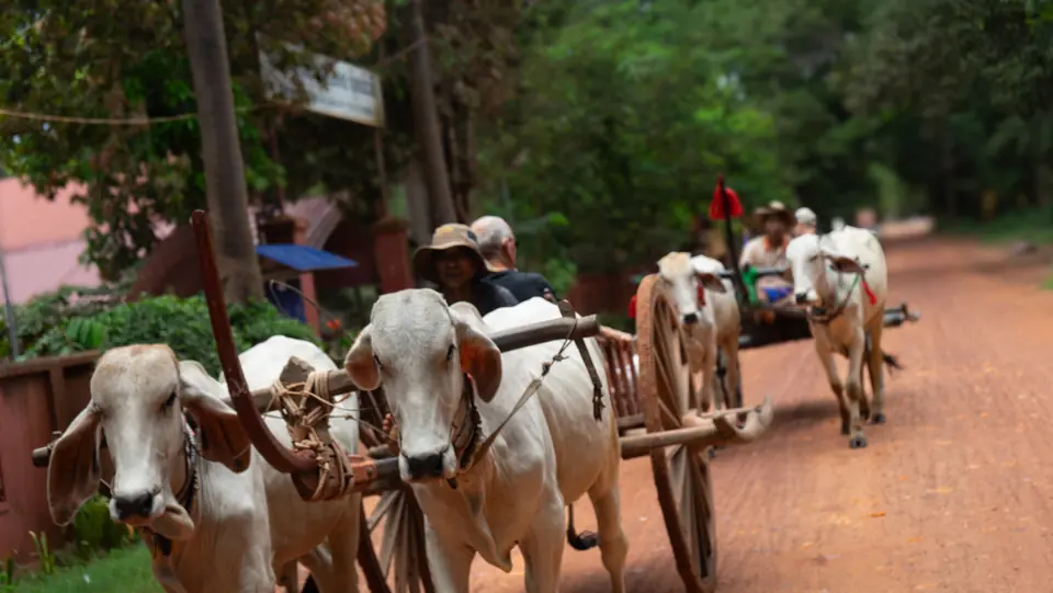 3 Semaines Au Cambodge
